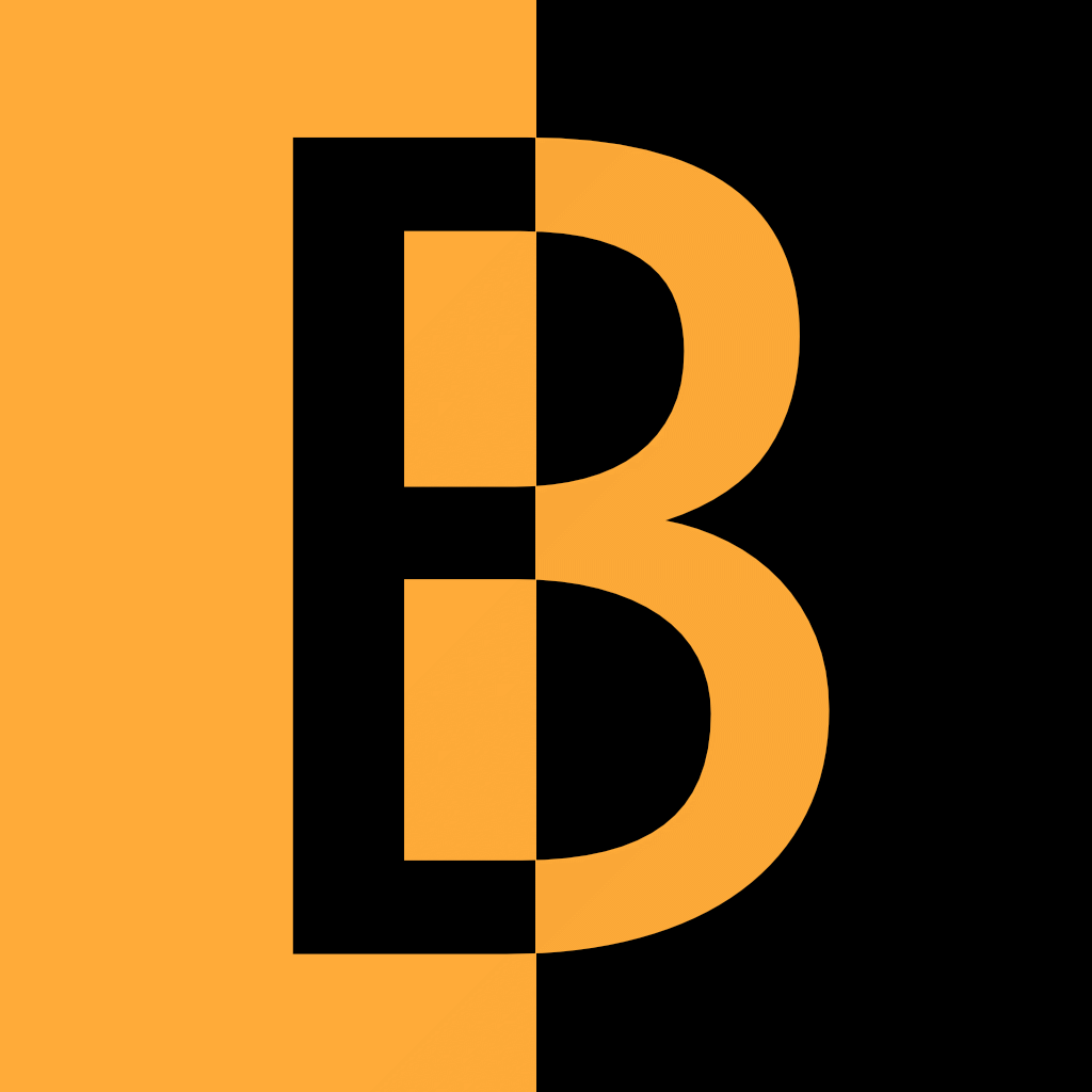 Bipol. Politische Bildung für alle.